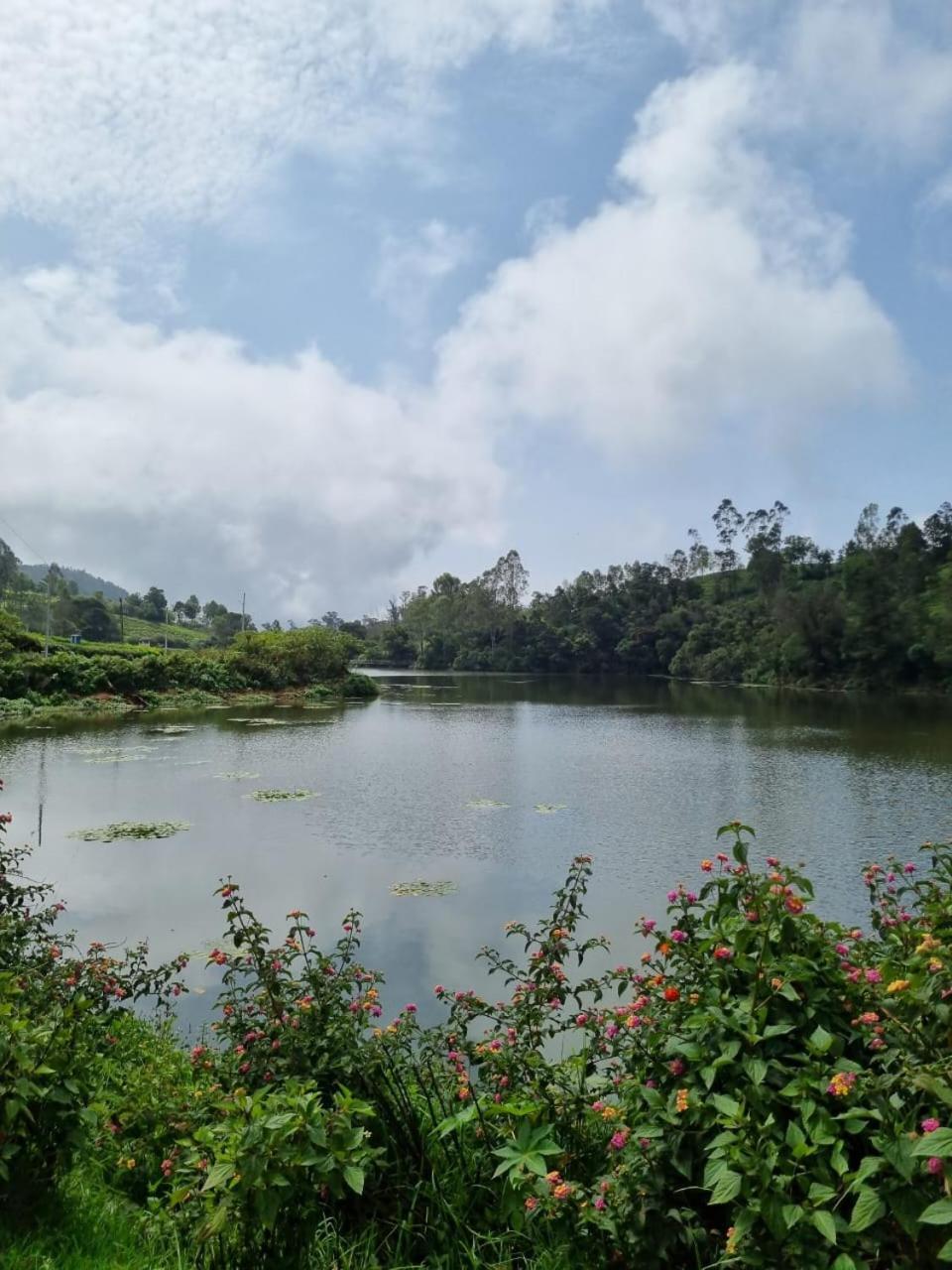 Camellia Heights 1&2 Bed & Breakfast Coonoor Exterior photo