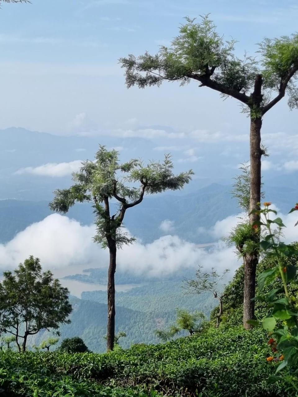 Camellia Heights 1&2 Bed & Breakfast Coonoor Exterior photo