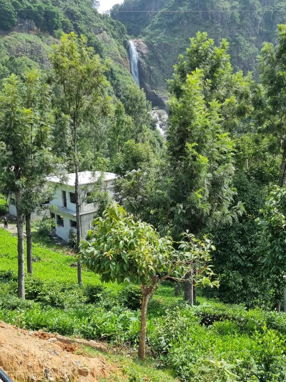 Camellia Heights 1&2 Bed & Breakfast Coonoor Exterior photo