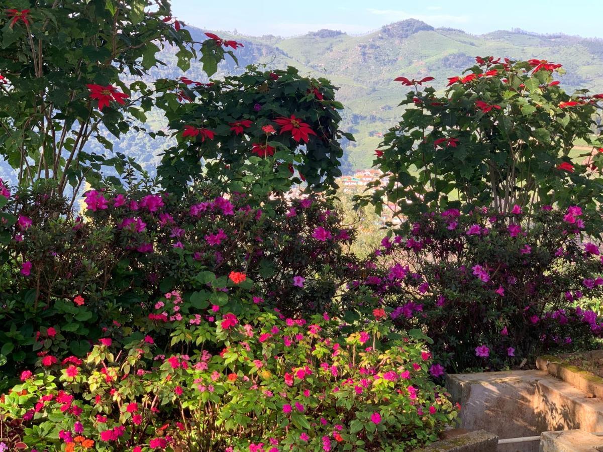 Camellia Heights 1&2 Bed & Breakfast Coonoor Exterior photo
